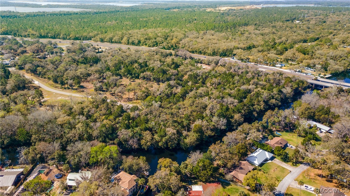 11179 N River Walk Point, Inglis, Florida image 8