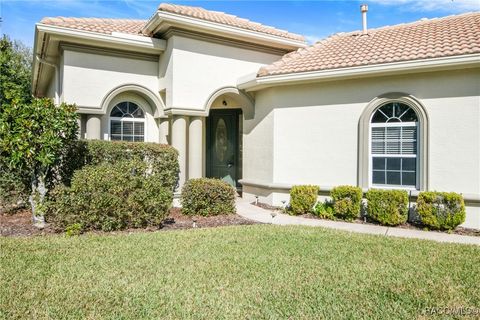 A home in Hernando