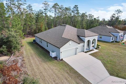 A home in Homosassa