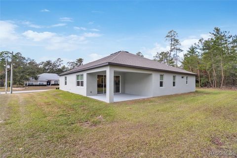 A home in Homosassa