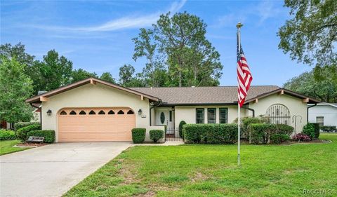 19 Holly Court Homosassa FL 34446