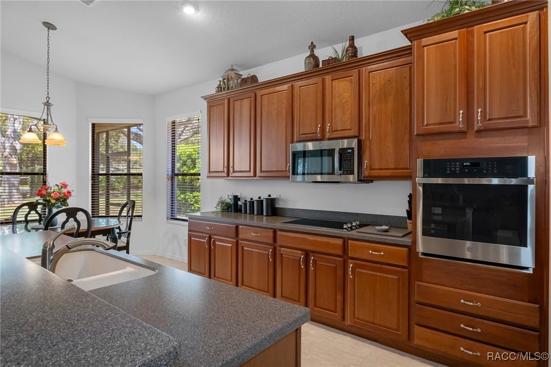 915 W Skyview Landings Drive, Hernando, Florida image 22