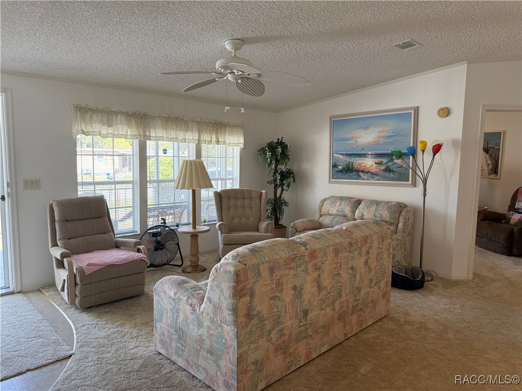 29120 Sentinel Street, Nobleton, Florida image 10