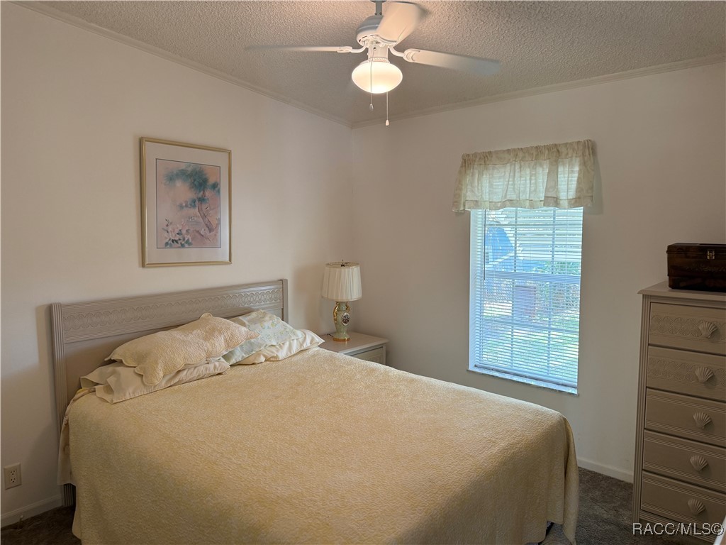 29120 Sentinel Street, Nobleton, Florida image 16