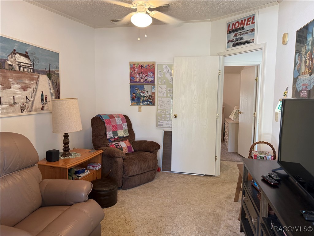 29120 Sentinel Street, Nobleton, Florida image 12