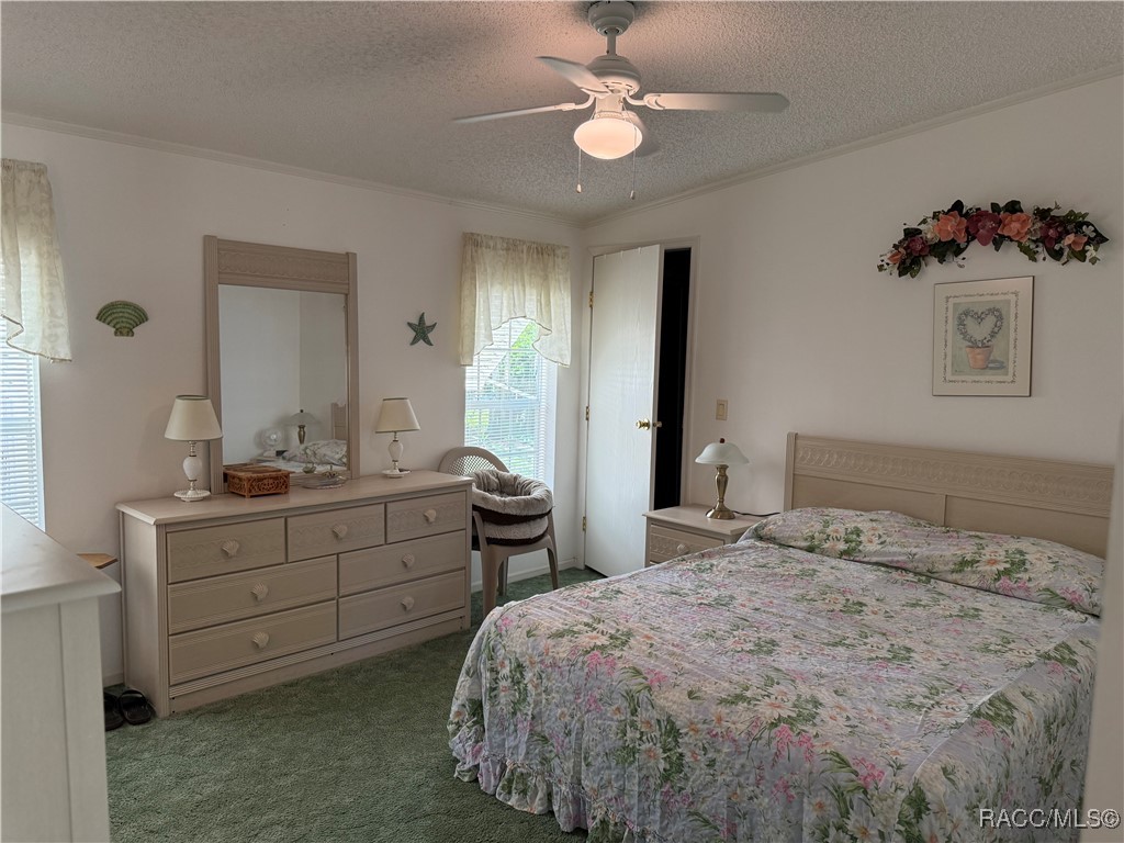 29120 Sentinel Street, Nobleton, Florida image 20