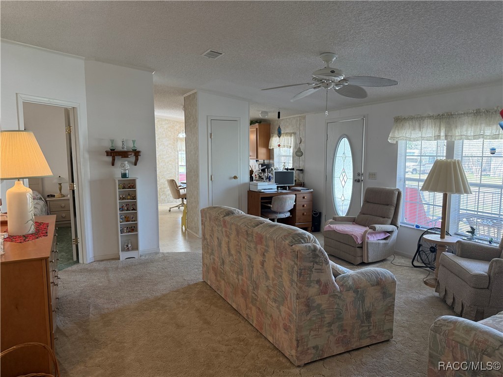 29120 Sentinel Street, Nobleton, Florida image 9