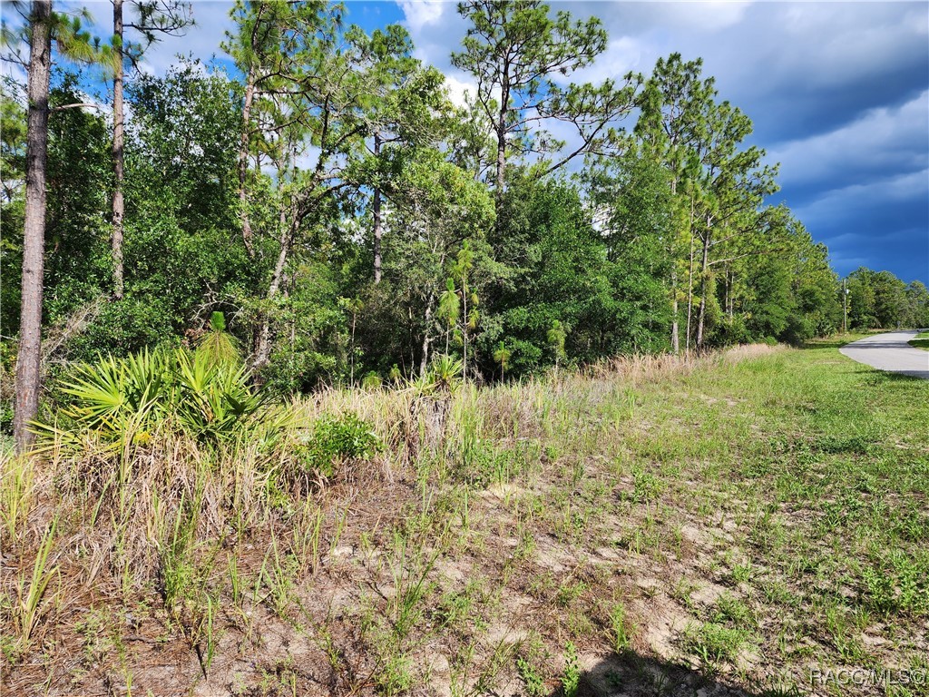 11107 N Mataro Avenue, Citrus Springs, New York image 2