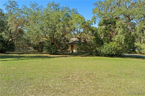 A home in Hernando