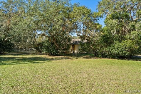 A home in Hernando