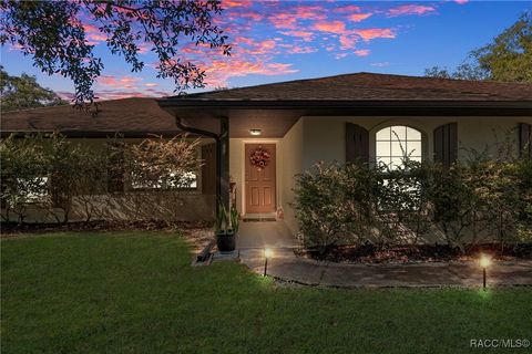 A home in Hernando