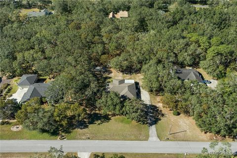 A home in Hernando