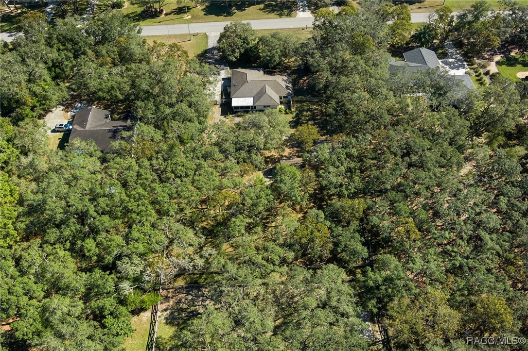 456 N Fresno Avenue, Hernando, Florida image 8