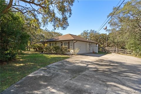 A home in Hernando