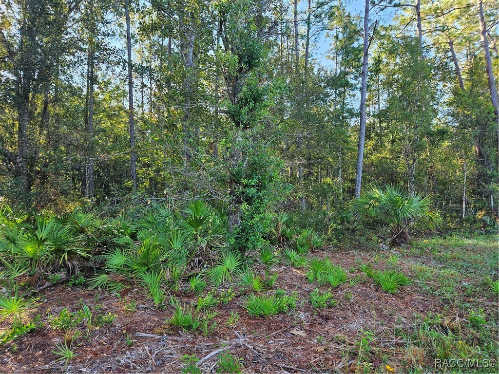 00 SE Hwy 19 Lot 18 Highway, Inglis, Florida image 2