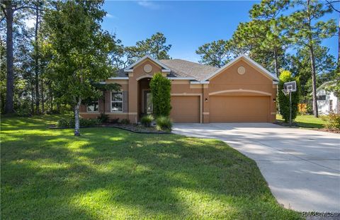 10 Mangrove Court S Homosassa FL 34446