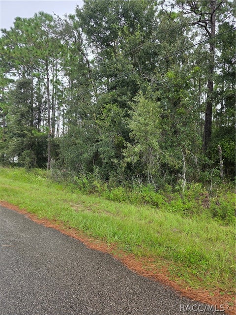 Vacant Land For Sale - 1299 W Tacoma Street<br/> Hernando, FL 34442