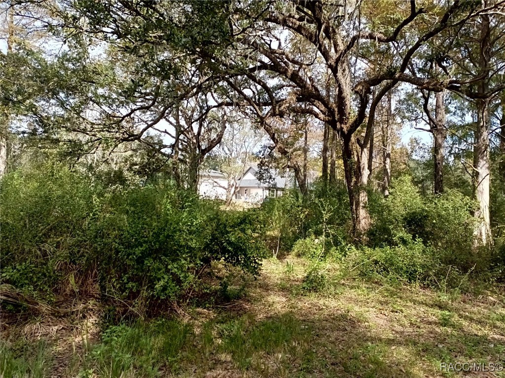 7966 E Leaf Court, Inverness, Florida image 2