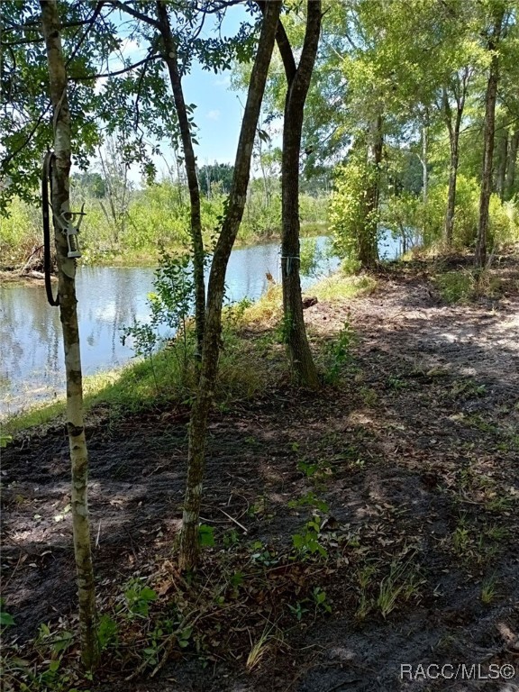 7966 E Leaf Court, Inverness, Florida image 1