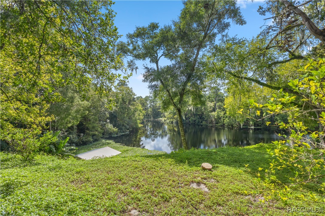 19620 Fox Trail, Dunnellon, Florida image 18