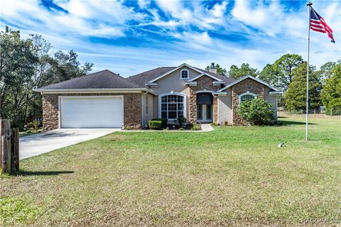 A home in Dunnellon