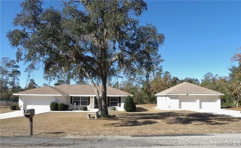 8248 N Gatewood Drive Citrus Springs FL 34433