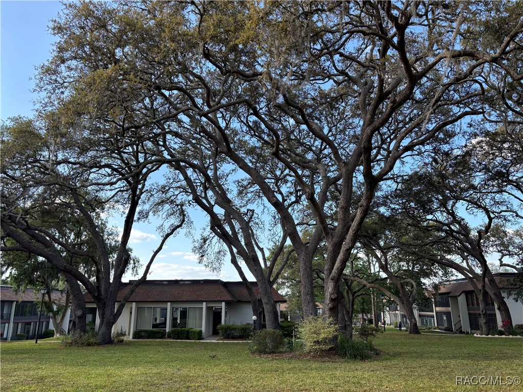 2400 Forest Drive #164, Inverness, Florida image 32