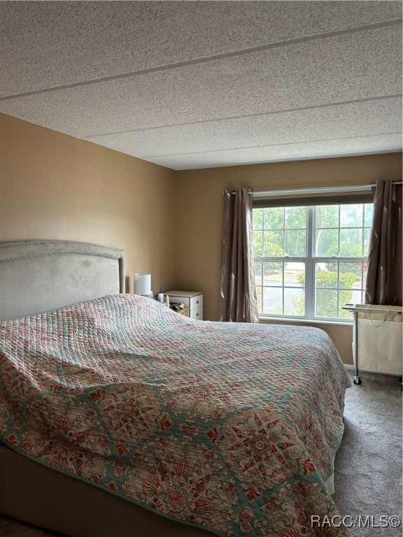 2400 Forest Drive #164, Inverness, Florida image 15