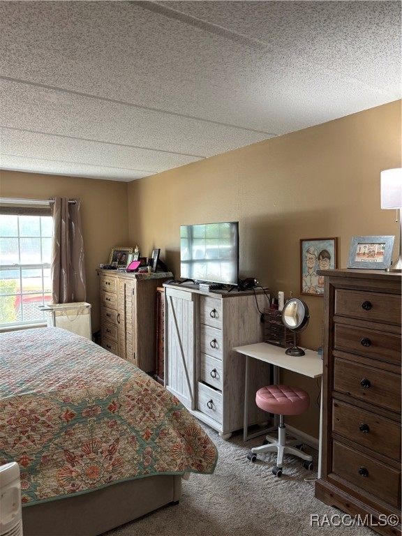 2400 Forest Drive #164, Inverness, Florida image 16