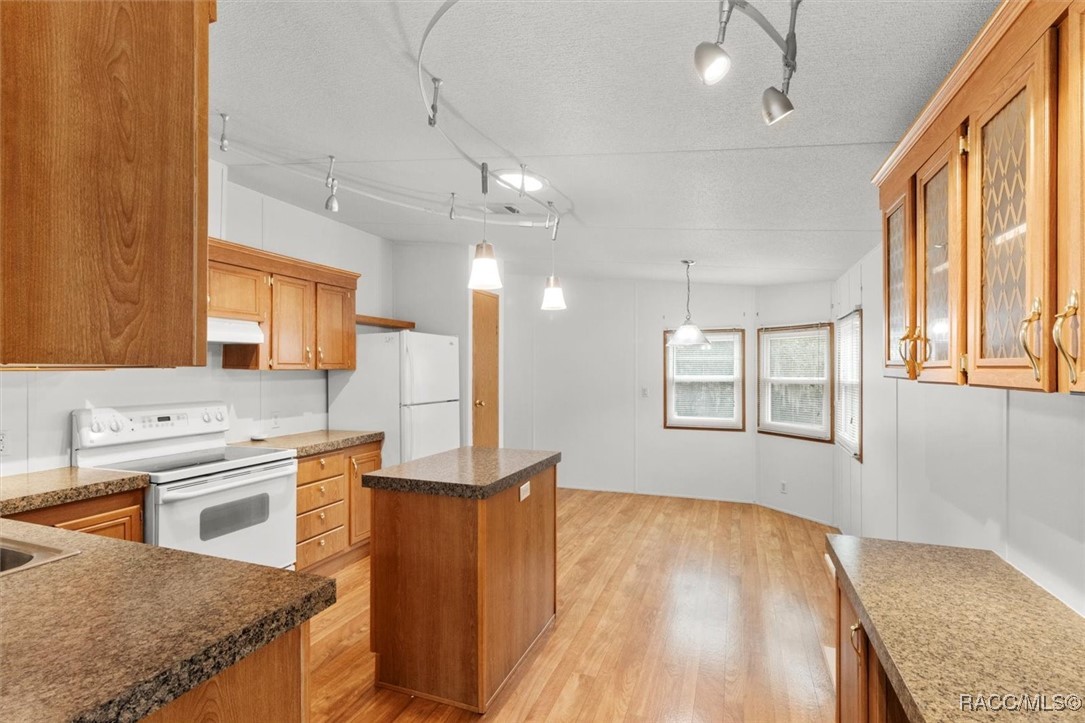 1047 E Figaro Court, Hernando, Florida image 7
