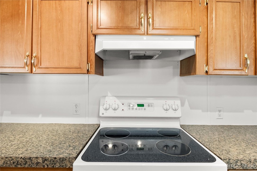 1047 E Figaro Court, Hernando, Florida image 13