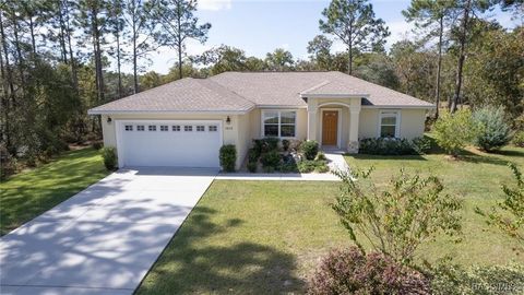 A home in Citrus Springs