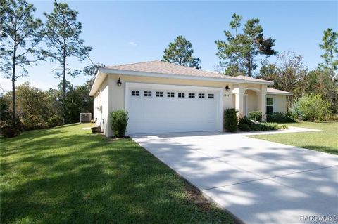 A home in Citrus Springs