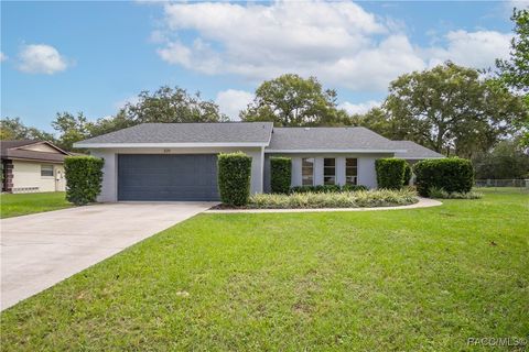 3211 S Rose Avenue Inverness FL 34450