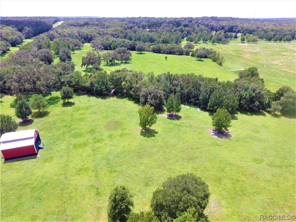 11077 Ponce De Leon Boulevard, Brooksville, Florida image 7