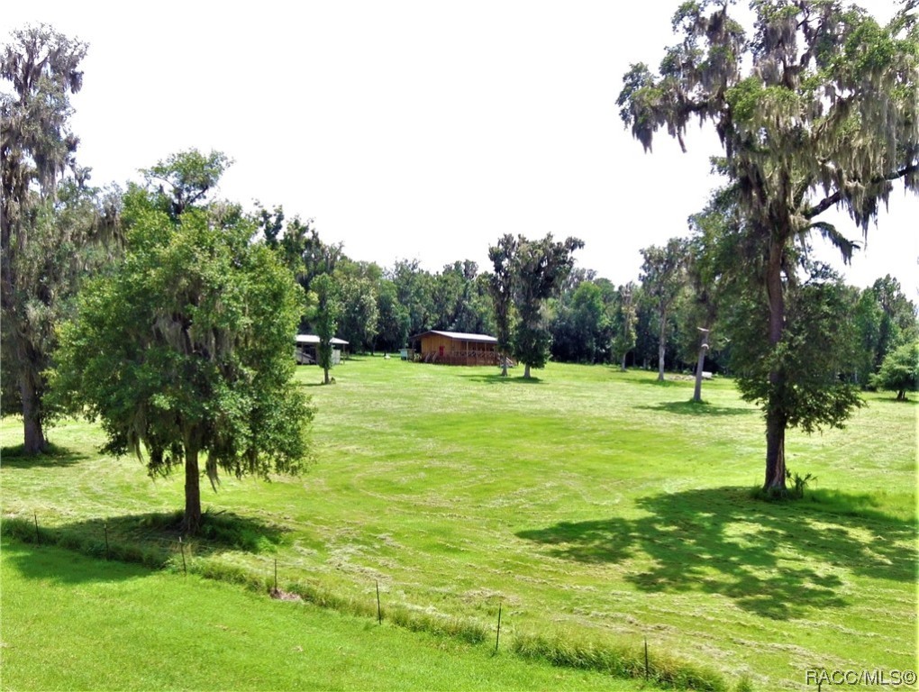 11077 Ponce De Leon Boulevard, Brooksville, Florida image 9