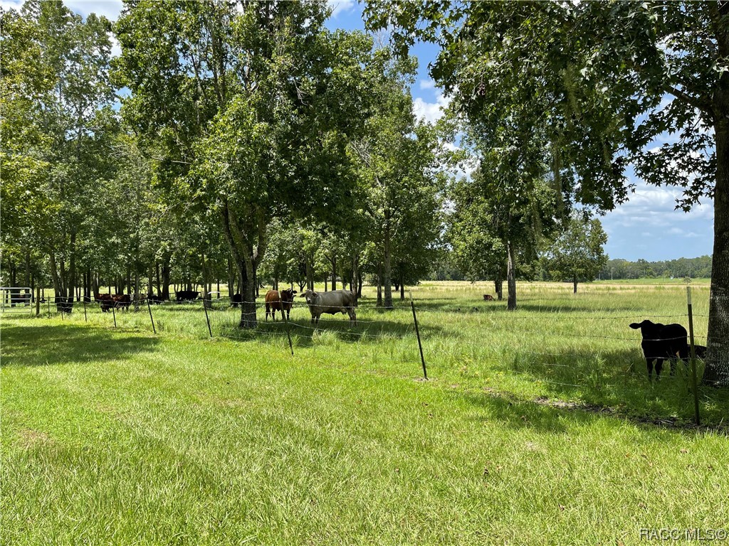 11077 Ponce De Leon Boulevard, Brooksville, Florida image 4