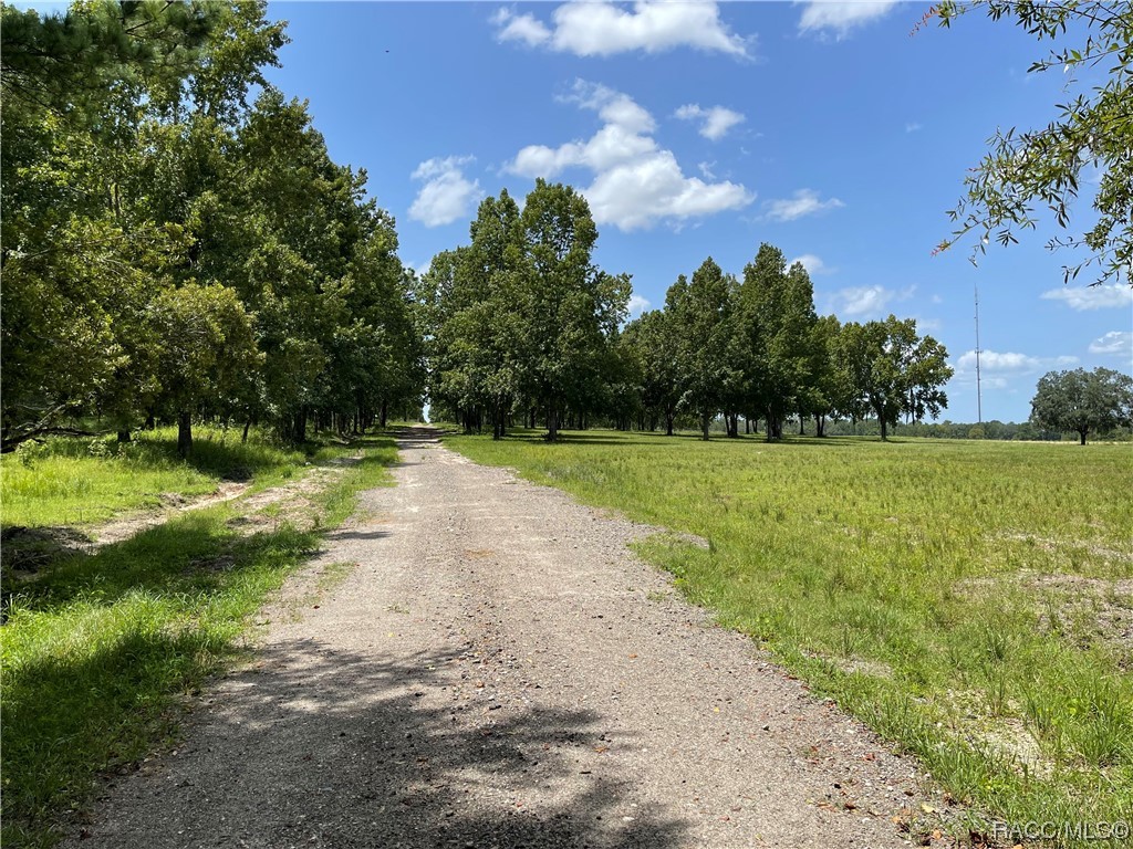 11077 Ponce De Leon Boulevard, Brooksville, Florida image 3