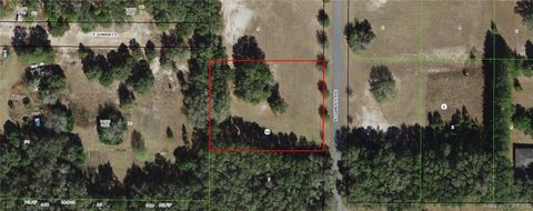 Vacant Land For Sale - 3034 N Clements Avenue<br/> Hernando, FL 34442