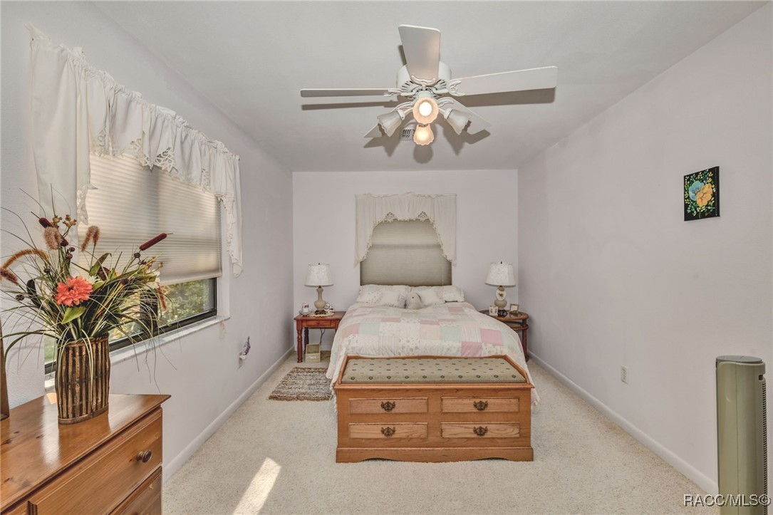 3215 E Tasha Court, Dunnellon, Florida image 26