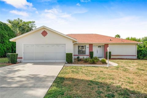 1438 N Foxrun Terrace Inverness FL 34453