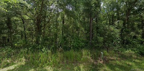 Vacant Land For Sale - 305 N Fitzpatrick Avenue<br/> Citrus County, Inverness, FL 34453