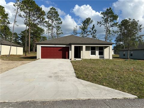 A home in Citrus Springs