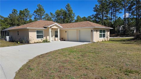 Homes For Sale - 1933 W Union Street<br/> Hernando, FL 34442