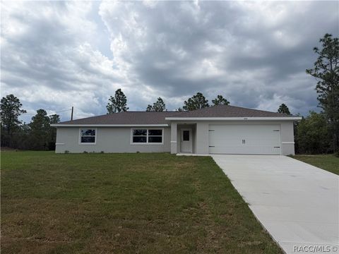 Homes For Sale - 10330 N G Martinelli Boulevard<br/> Citrus County, Citrus Springs, FL 34433