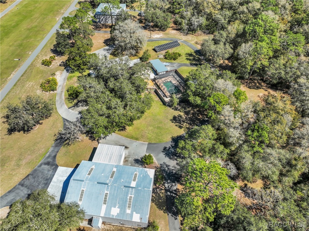 7700 N Driggers Point, Hernando, Florida image 12
