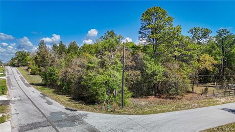 Vacant Land For Sale - 1015 E Cleveland Street<br/> Hernando, FL 34442