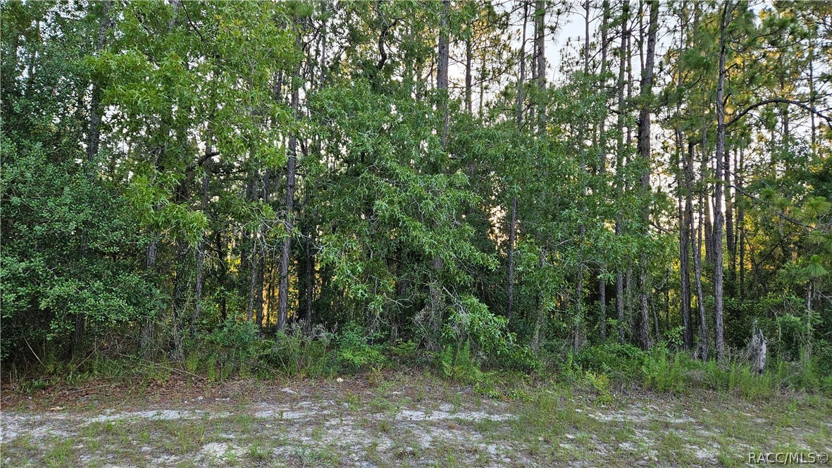 Lot 12 SW 87th Circle, Ocala, Florida image 12