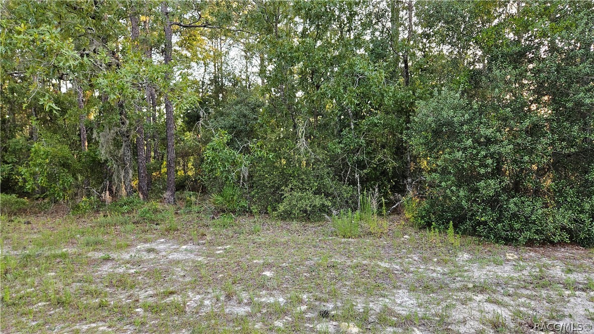 Lot 12 SW 87th Circle, Ocala, Florida image 13