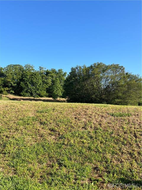 Vacant Land For Sale - 1237 W Buttonbush Drive<br/> Beverly Hills, FL 34465